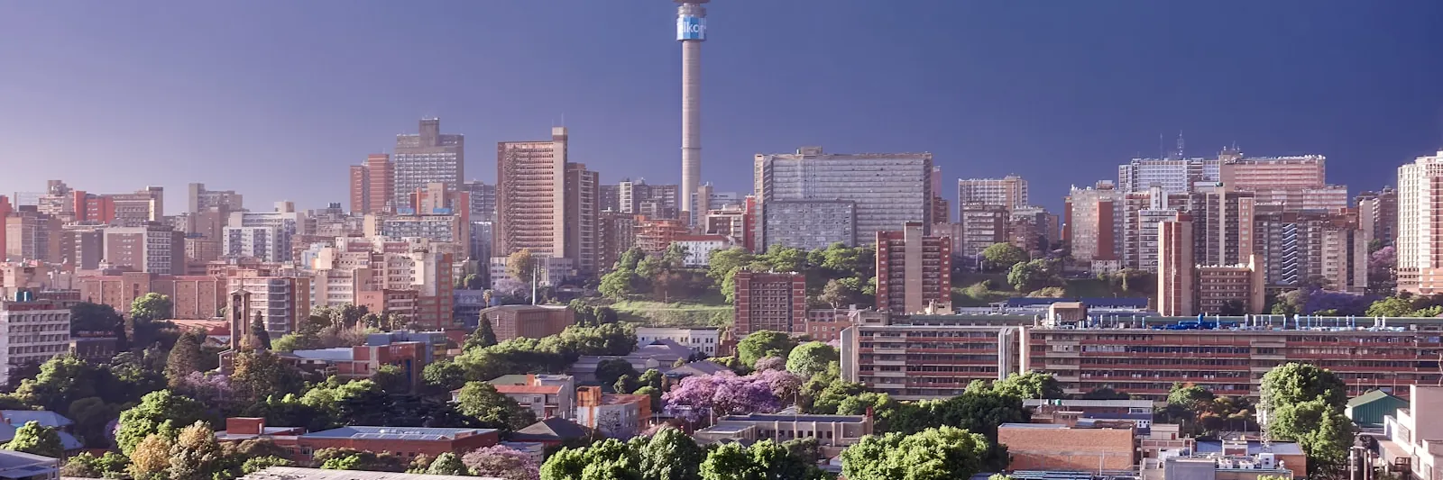 Johannesburg city skyline in daylight, Hillbrow Tower at centre, jacaranda trees and dense low-rise rooftops in the foreground. Landscape, 16-9.