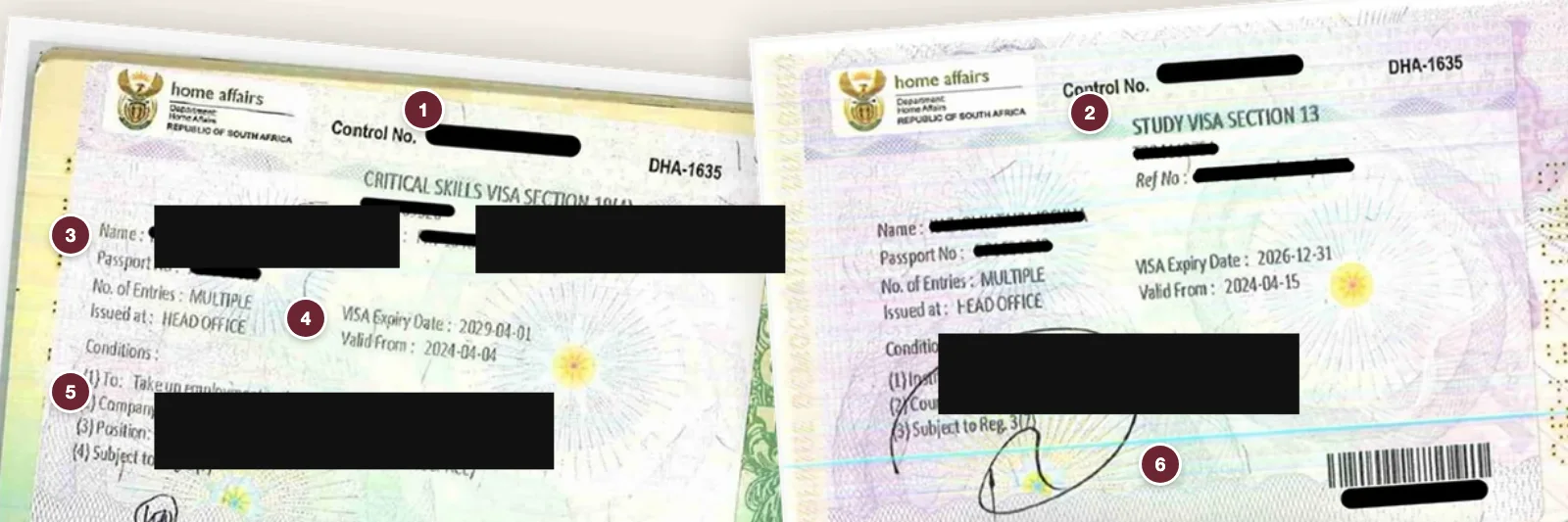 Two South African visa labels on form DHA-1635, a critical skills visa under section 19(4) and a study visa under section 13, with numbered callouts marking the control number, visa type and section, holder details, validity dates, endorsed conditions and the signature and barcode. Personal details are redacted.